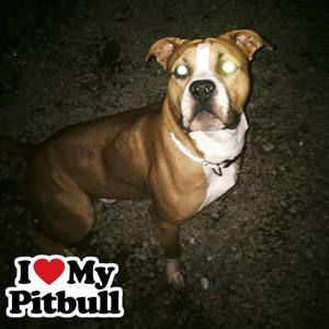 Meet your Posher, Brandy